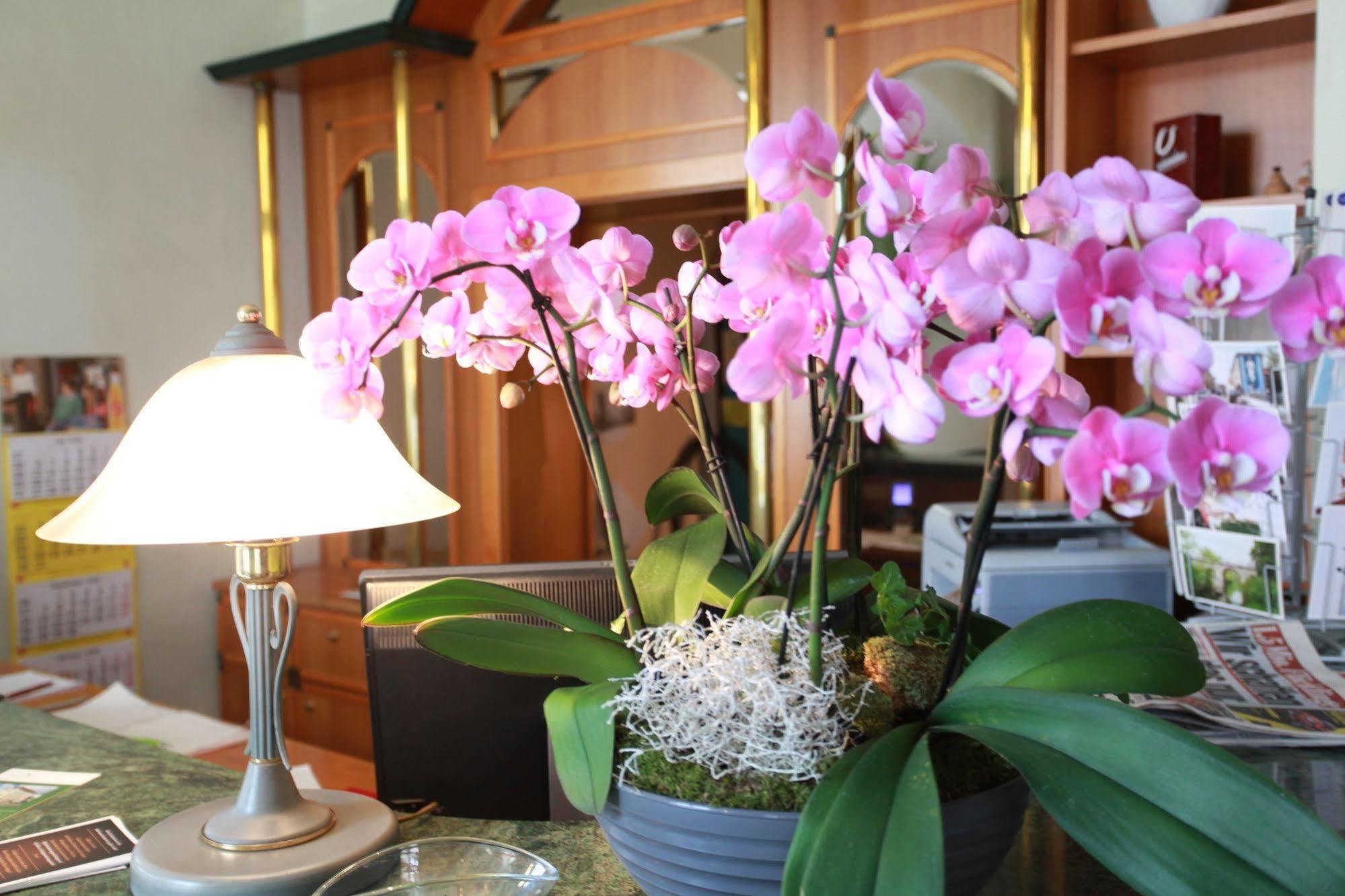 Hotel De Saxe Leipzig Ngoại thất bức ảnh